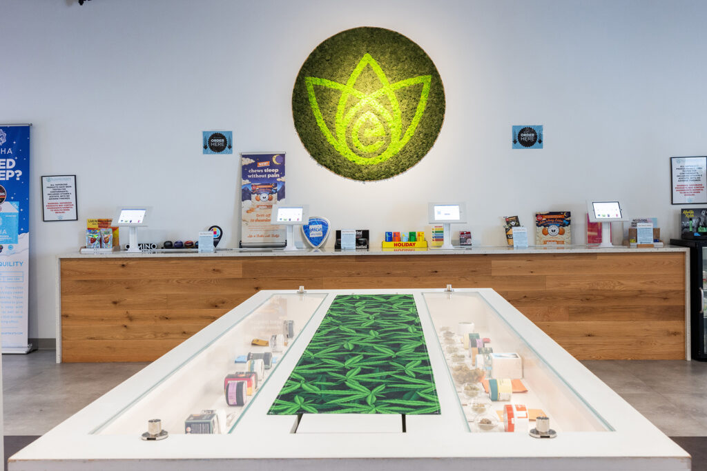 Elevated-Roots -3rd Act Architecture