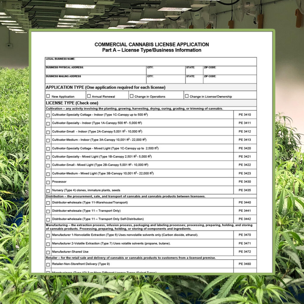 Cannabis License Application