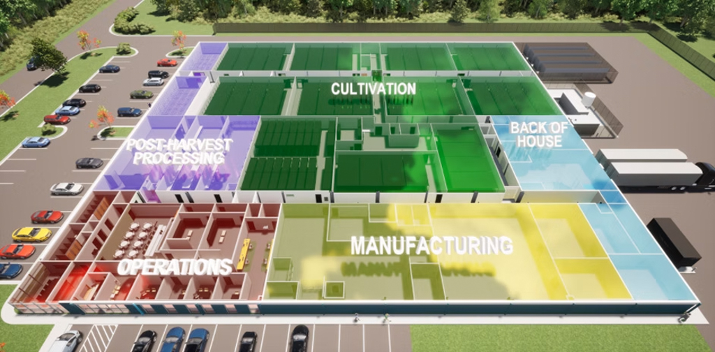Cannabis Facility Planning